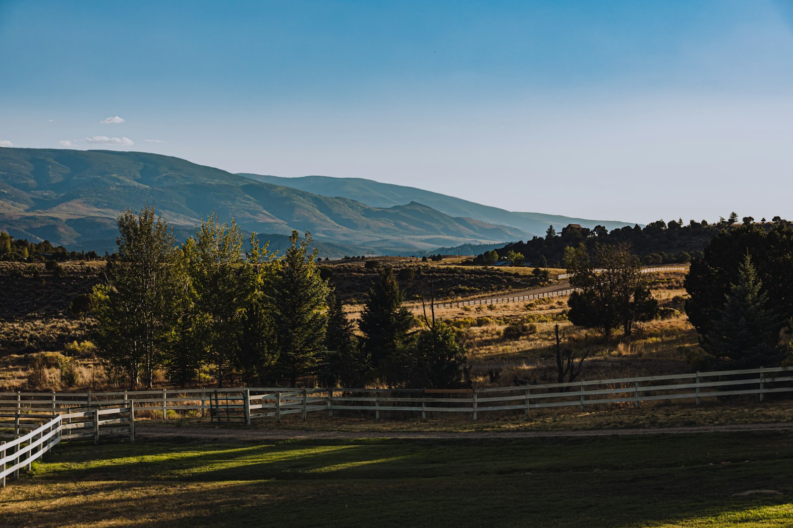 A ranch fence line and mountains in the Tom Miner Basin, the regenerative grass-fed cattle country behind the tallow